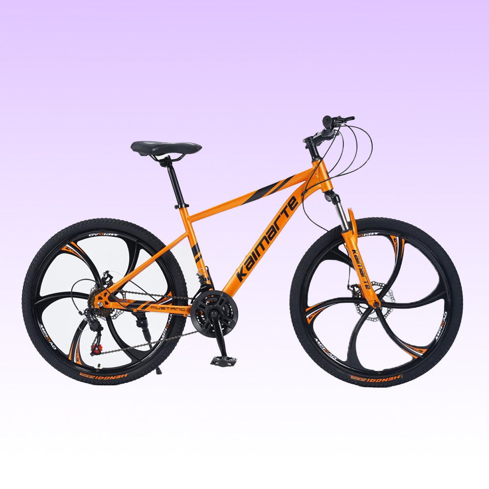 Bicicleta de Montanha Personal - Mountain Biking Europe avaliação e preço